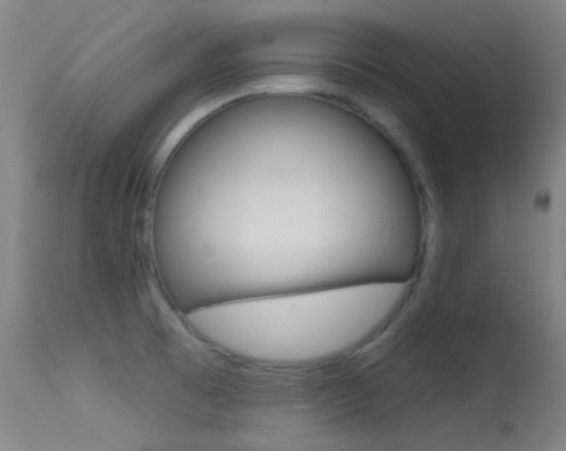 X0000113631473200909181253