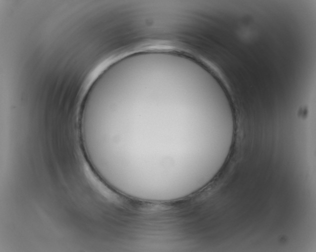 X0000113631475200909181253