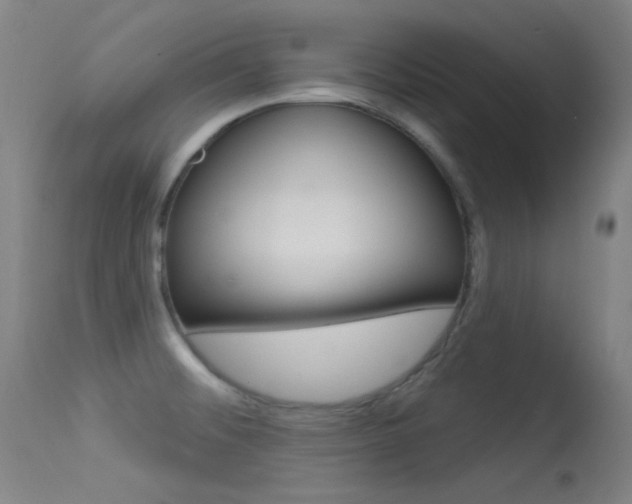 X0000113631476200909181253