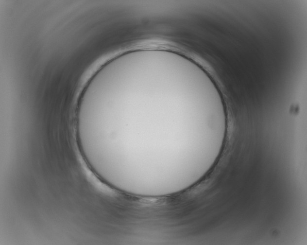 X0000113631478200909181253