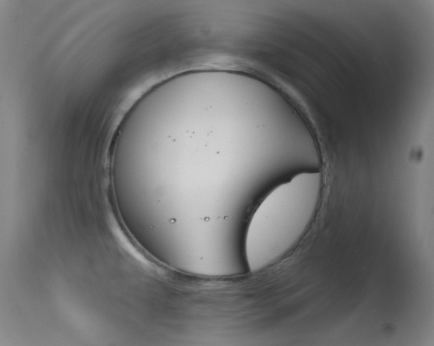 X0000113631479200909181253