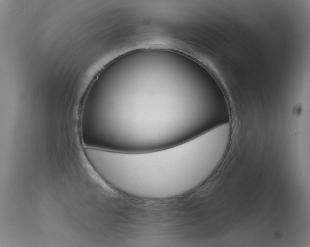 X0000113631480200909181253