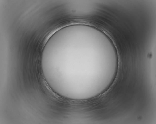 X0000113631481200909181253