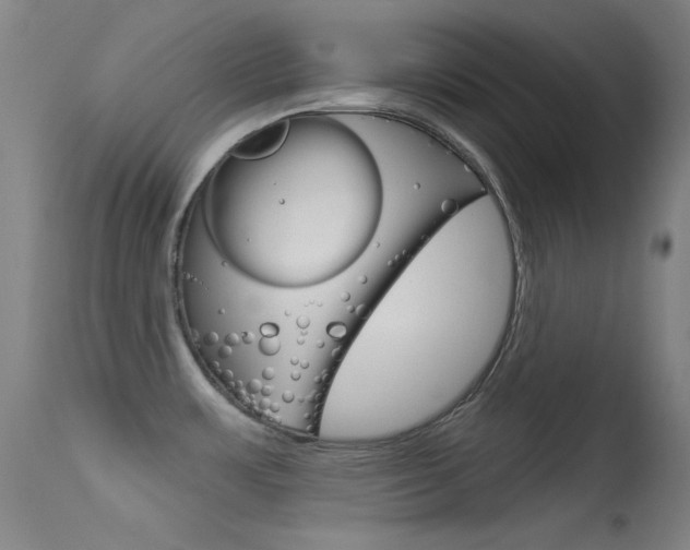 X0000113631483200909181253