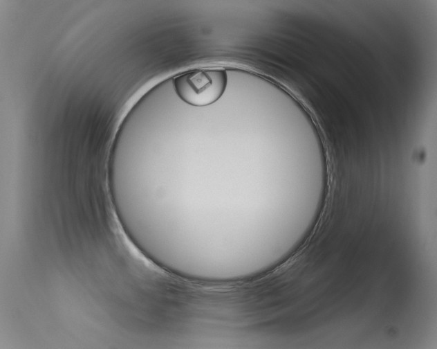 X0000113631484200909181253