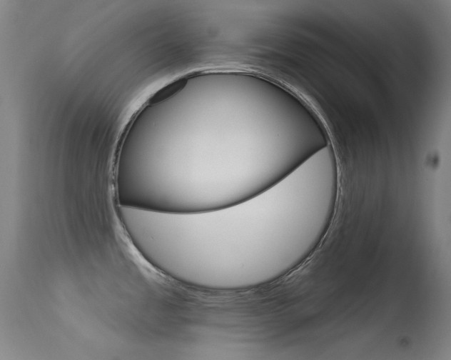 X0000113631485200909181253