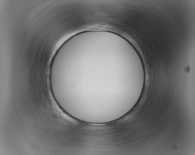 X0000113631486200909181253