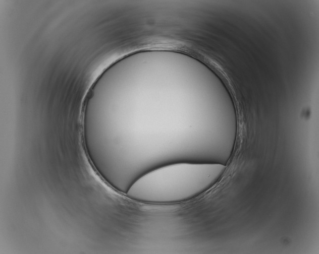 X0000113631487200909181253