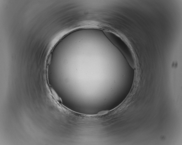 X0000113631488200909181253