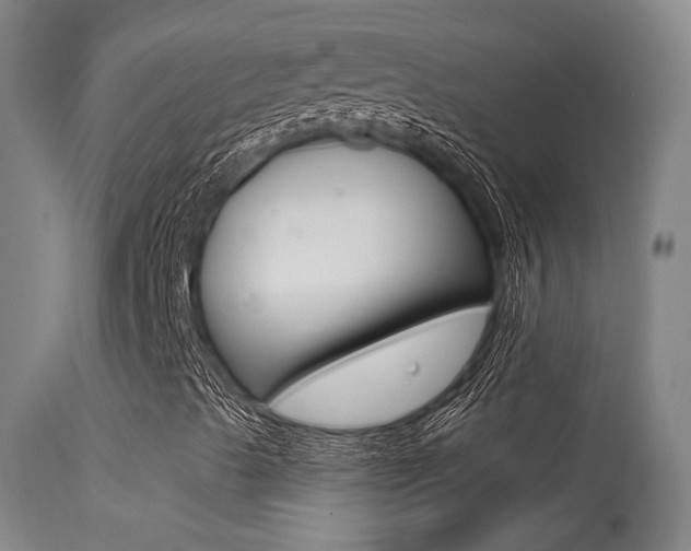 X0000113631489200909181252
