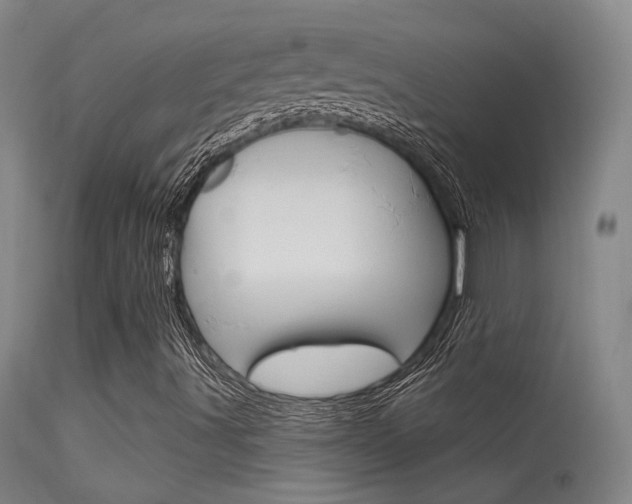 X0000113631491200909181252