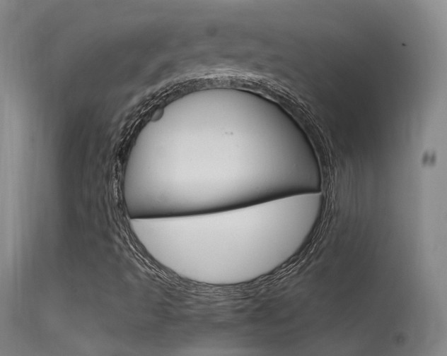 X0000113631493200909181252