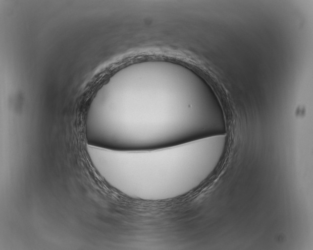 X0000113631494200909181252