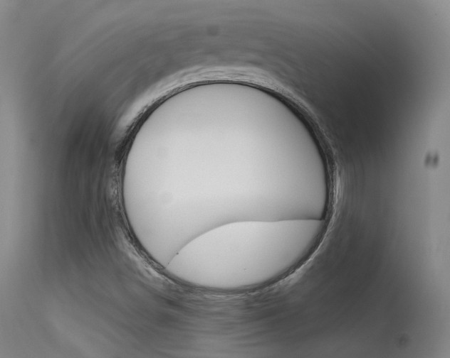 X0000113631498200909181252