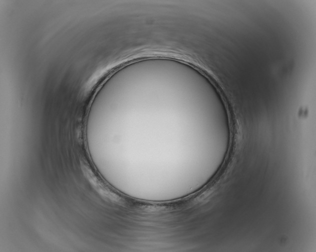 X0000113631499200909181252