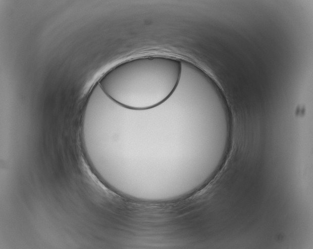 X0000113631500200909181252