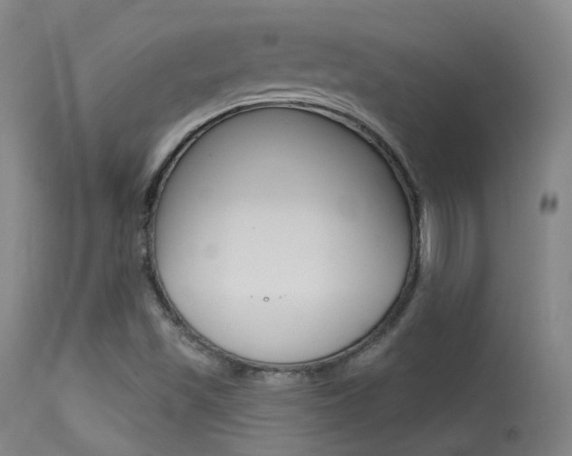 X0000113631501200909181252