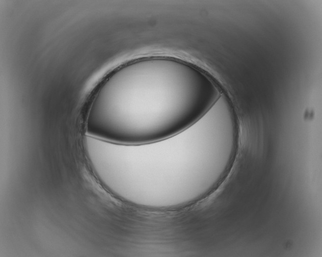 X0000113631502200909181252