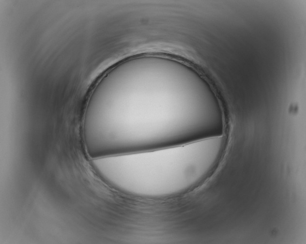 X0000113631505200909181253