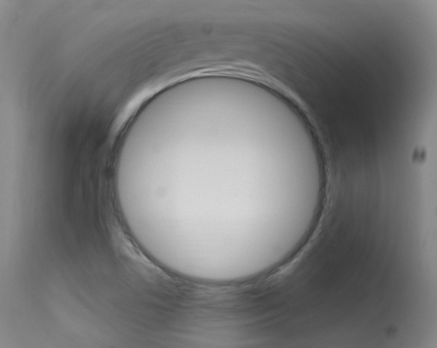 X0000113631506200909181253