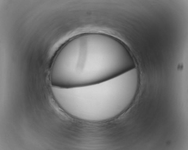 X0000113631507200909181253