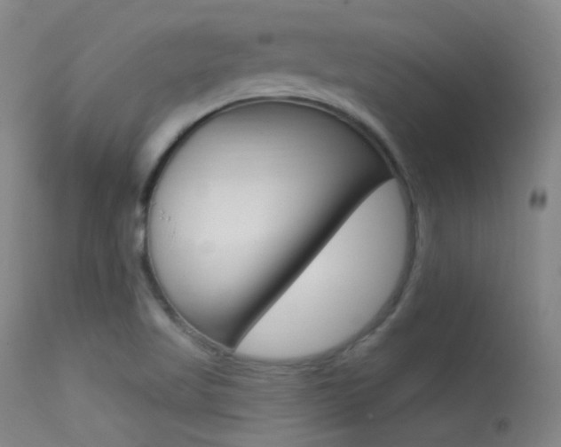 X0000113631509200909181253
