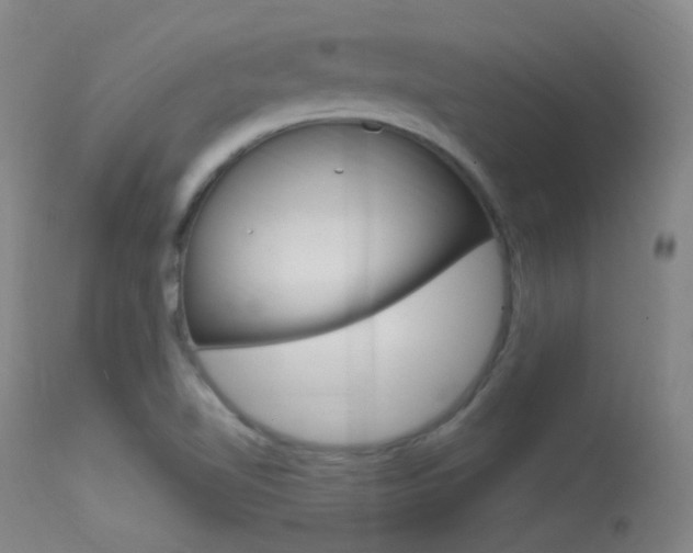 X0000113631510200909181253