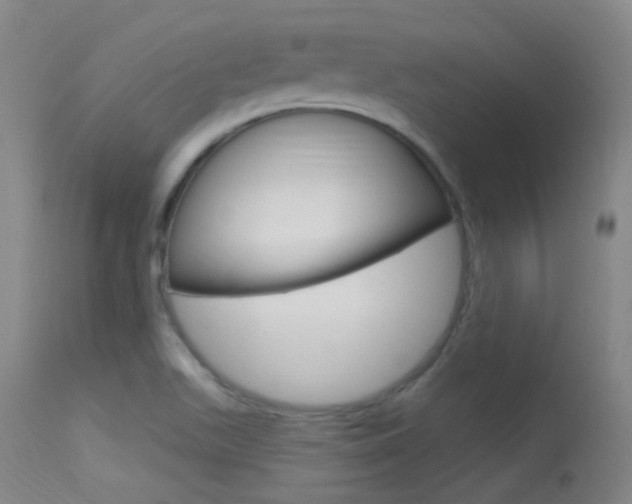 X0000113631511200909181253