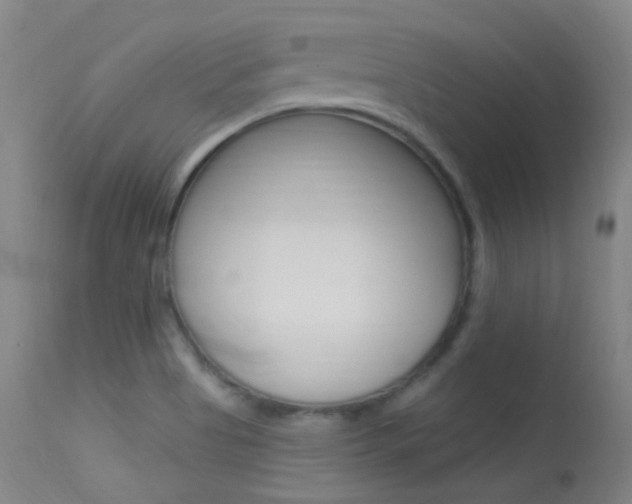 X0000113631513200909181253