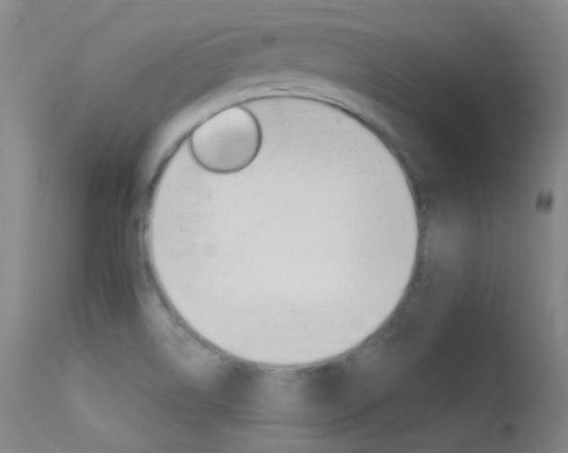 X0000113631514200909181253