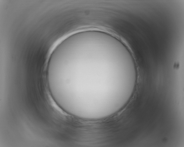 X0000113631516200909181253