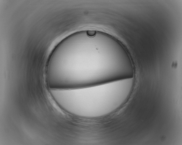 X0000113631517200909181253