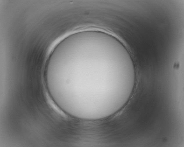 X0000113631518200909181253