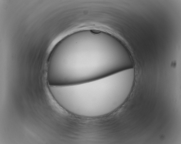 X0000113631522200909181253