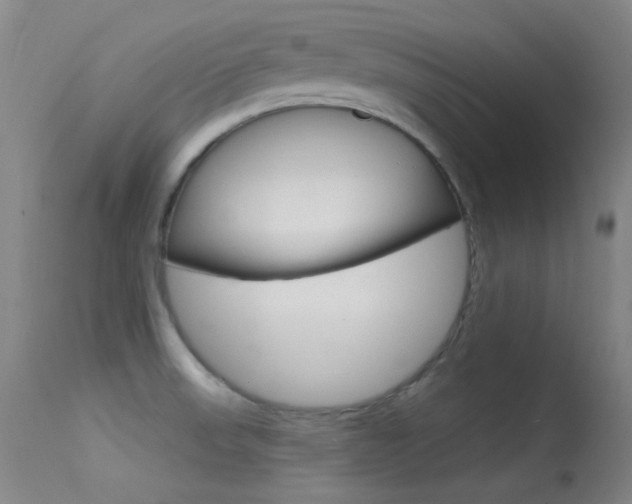 X0000113631523200909181253