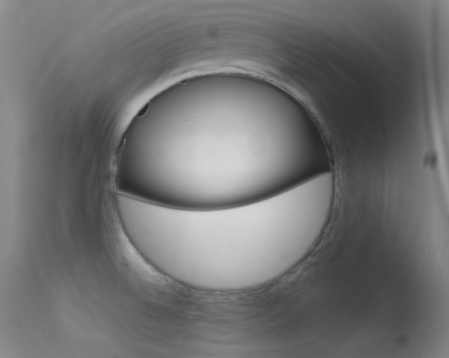 X0000113631524200909181253