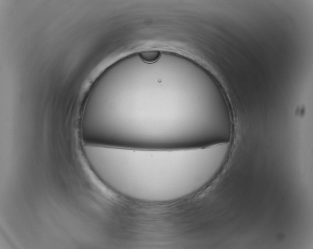 X0000113631525200909181253