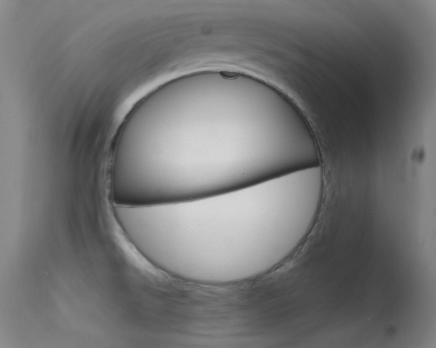 X0000113631526200909181253