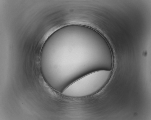 X0000113631529200909181253