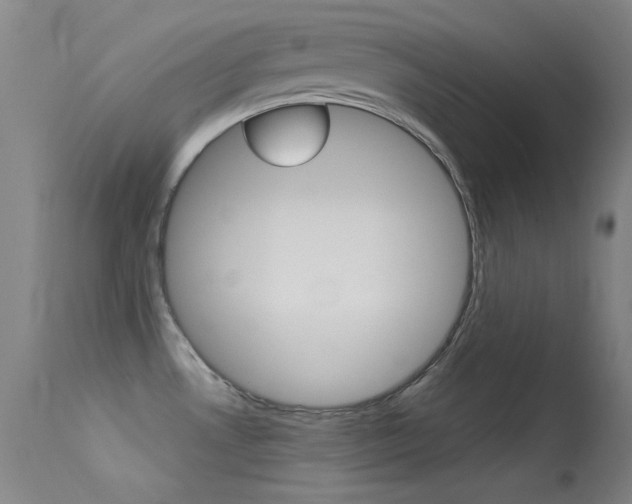 X0000113631530200909181253