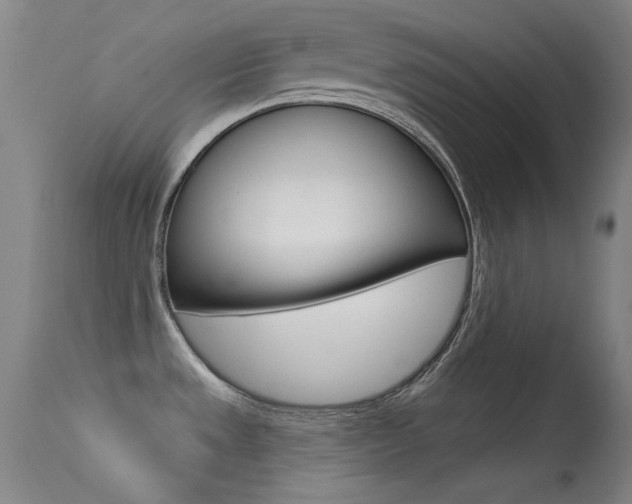 X0000113631533200909181253