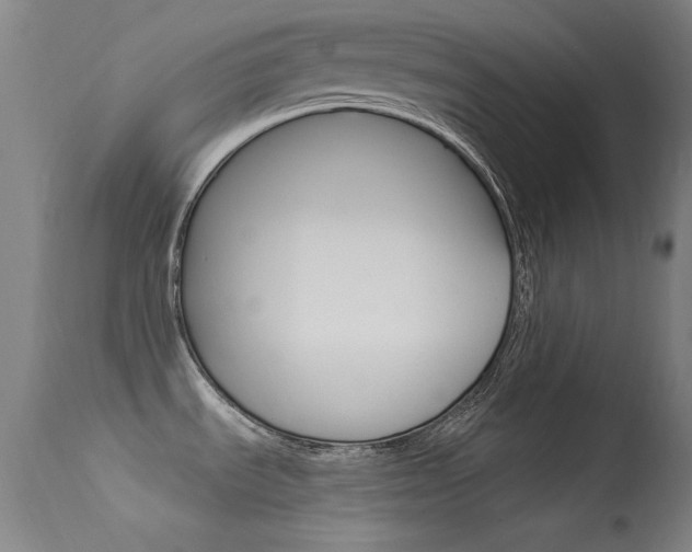 X0000113631535200909181253