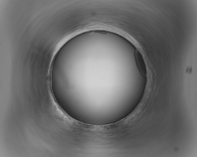 X0000113631536200909181253