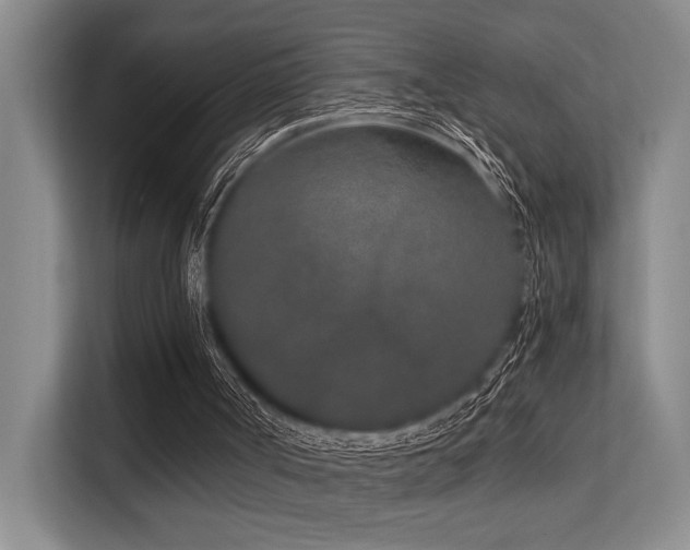 X0000113630002200909181526