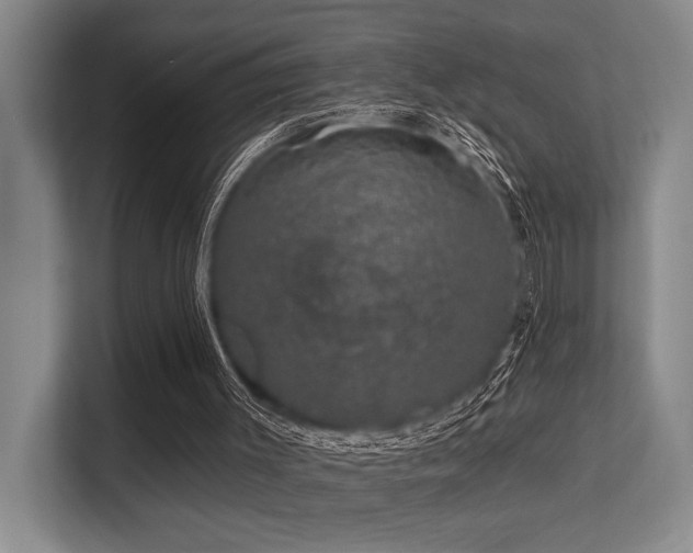 X0000113630003200909181526