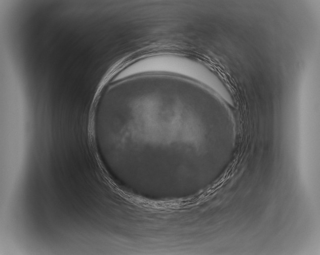X0000113630004200909181526