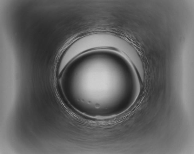X0000113630005200909181526
