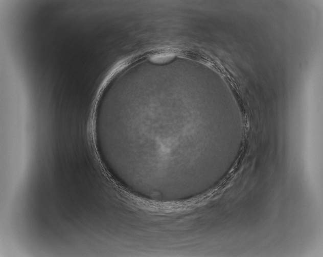X0000113630006200909181526