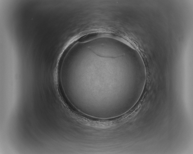 X0000113630008200909181526