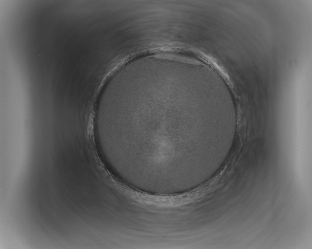 X0000113630010200909181526